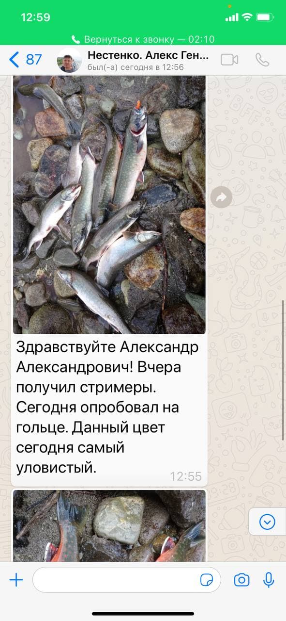 Синель для мушек на гольца  и хариуса