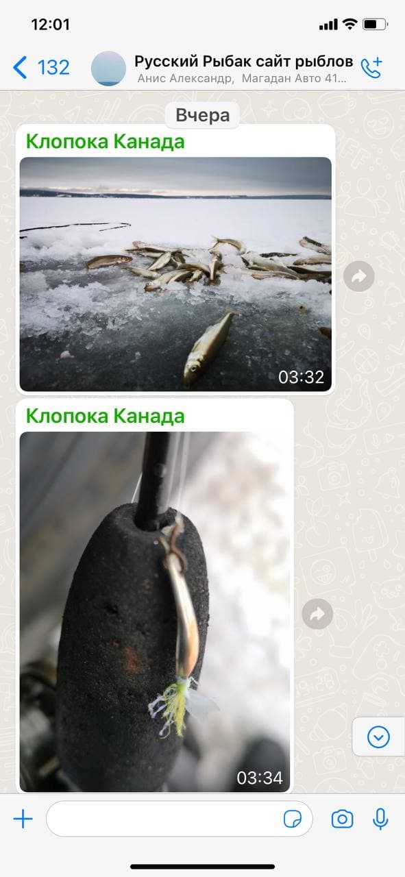 Блесна на корюшку