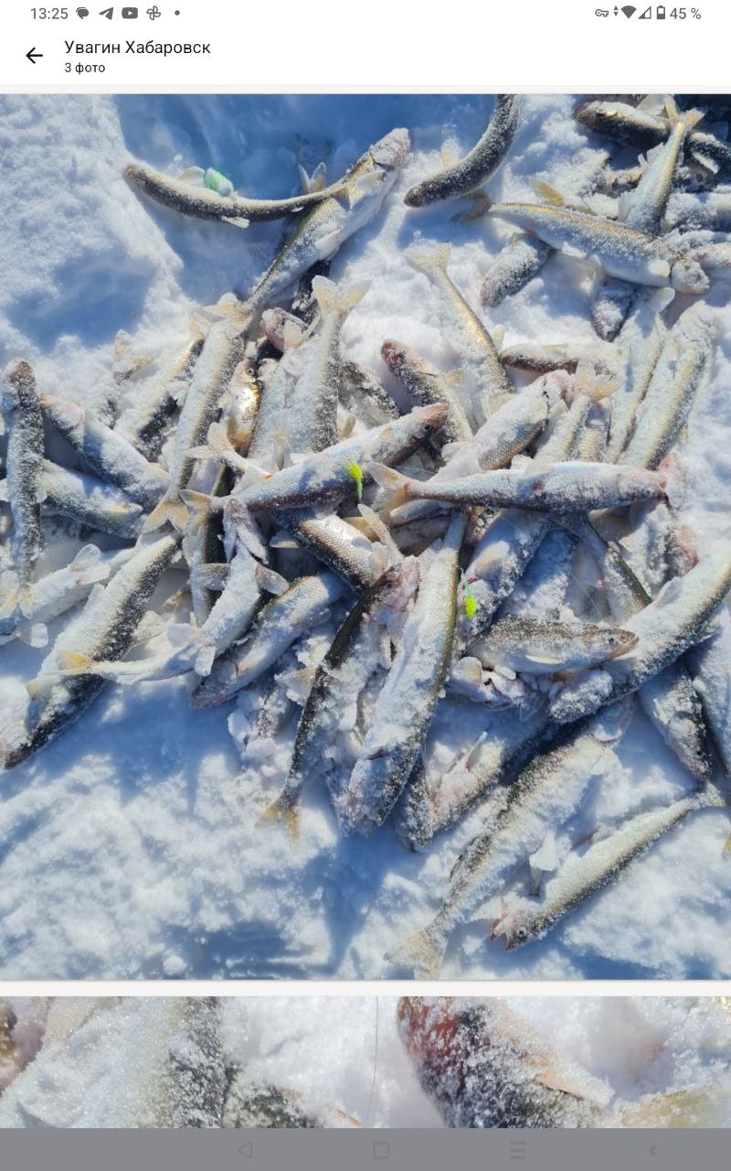 самосброс  на корюшку