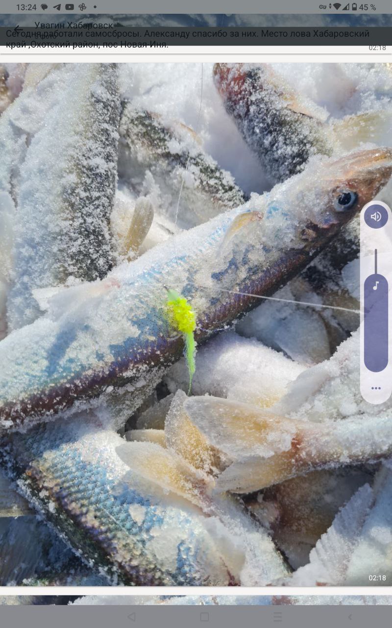 самосброс на зубаря Новая Иня 