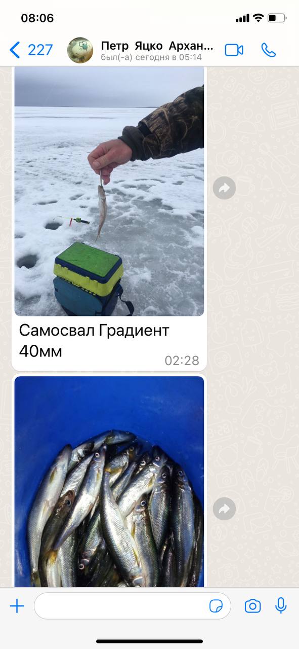 Зимняя блесна самосвал на корюшку навагу окуня судака ,берша ленка ...