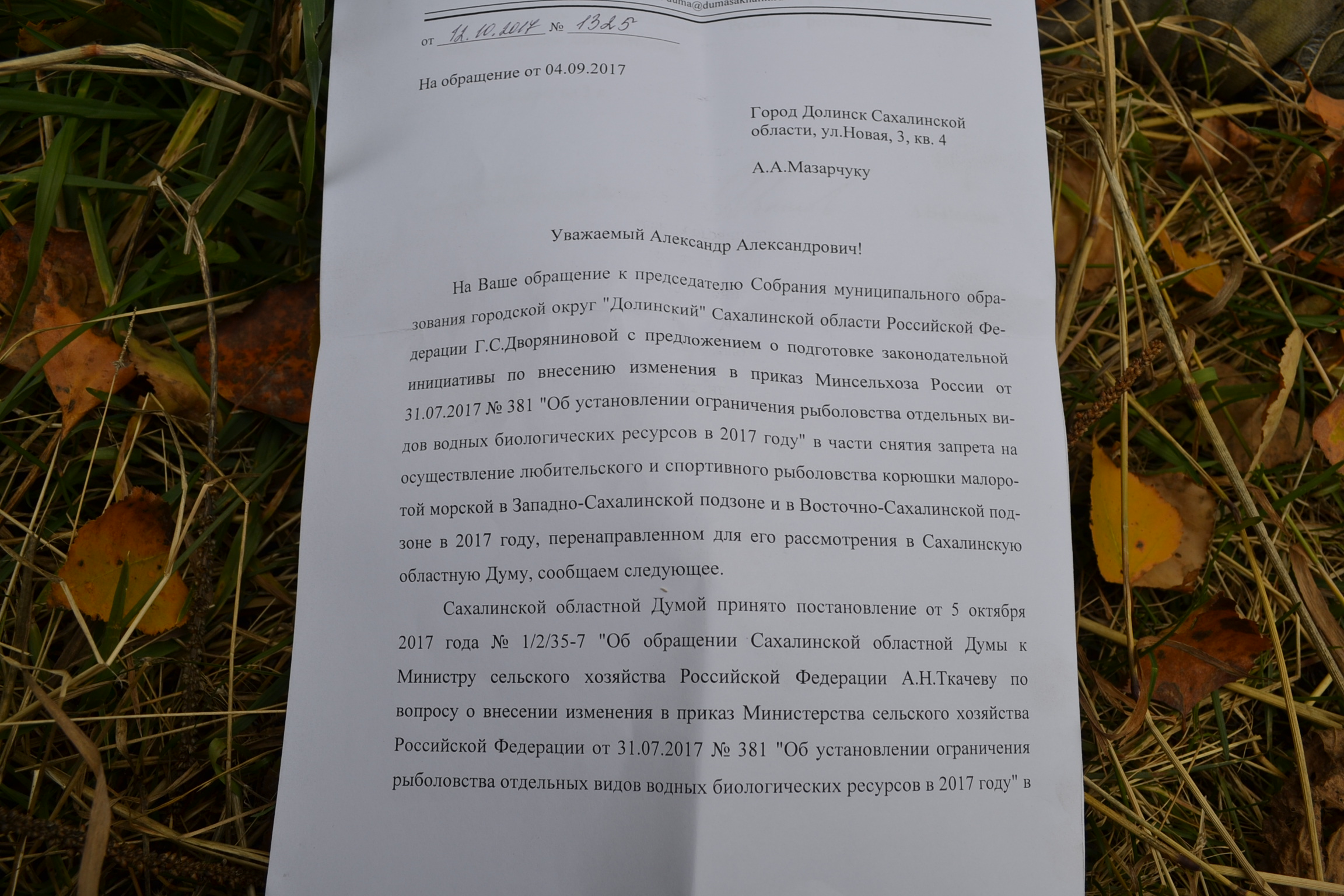 ответы думы по корюшке