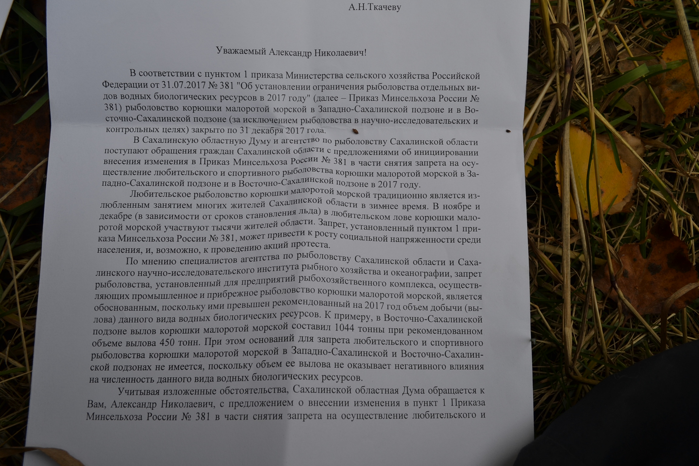 корюшку переловили  рыбопромышленики а запретили любителям