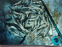 удочки горной рыбалки для ленка хариуса форельки мальмы пеструшки каменки 