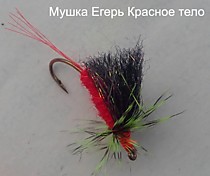 Егерь #10 Крючок фирмы Мустад Мушка Егерь с красным телом  на Симу, Гольца. мальму Хариуса, Форель в солнечный день воде в первой половине лета в реках и ручьях