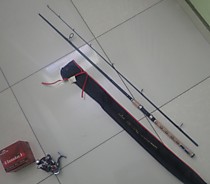 Спиннинг штекерный для ловли лосося камбалы на море на Сахалине Daiva REGAL 862MHFS 10 - 40 g Длина 8 футов 6 дюймов - 255 см