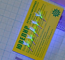 Самодур на малоротую корюшку и зубаря  Навагу в Приморье , Владивостоке на глубине   на серебряных крючках  Хит № 3 мм 5 шт  леска 0.14 мм , рассцветка №1   лимонный УФ с мобискином Кеймура