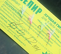 Самодуры гирлянды на корюшку малороткук  навага зубарь в прилове Крыло Ккеймура Ровер УФ раритетный фирмы Тохо  Крючки серебро Япония  Хит № 3 мм  - 4 штуки  штуки 