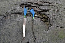 блесна  на Зубаря  из Каро берильевая бронза с петелькой, самосвал №6 с мушкой из мобискина Ямашито в цвете голубой флюорисцент и лимонной точкой привязки от Текстрим