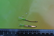 планирующаяя блесна из бериллевой бронзы. самосвал №6.5, бронзовая петелька, длинна 32мм,мушка из шелка шелка флю салат и подвижного крыла из софтскина Шимода в цвете зеленый УФ