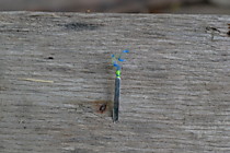 блесна на малоротку, техническое серебро, длинна 22мм, ширина 2мм. толщина 0.15 мм, самосвал №3.5 от маруто, мобискин ямашито - розовый с точкой привязки флю орисцентный лимон