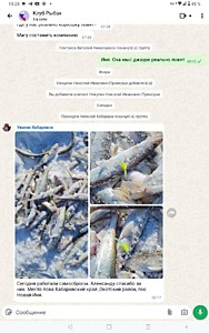 отчеты рыбалка корюшка Иня Хабаровский край 